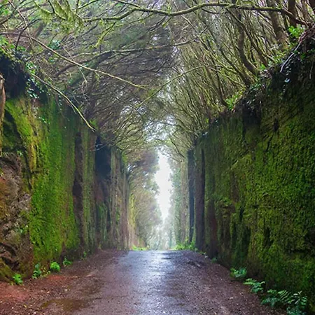 Casa Unifamiliar Tejina
