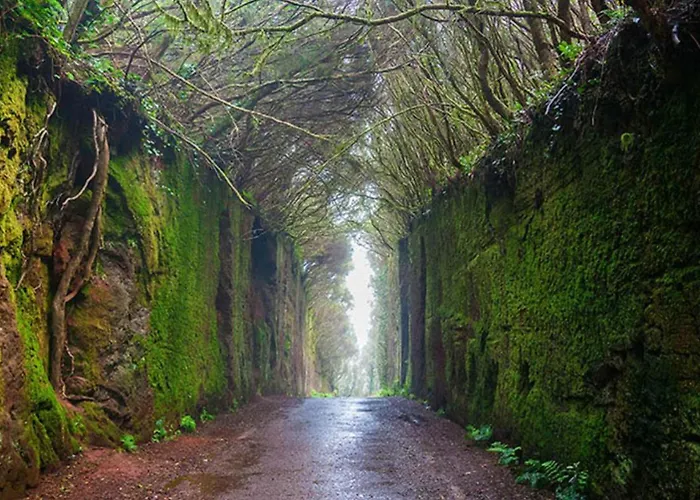 Casa Unifamiliar Tejina